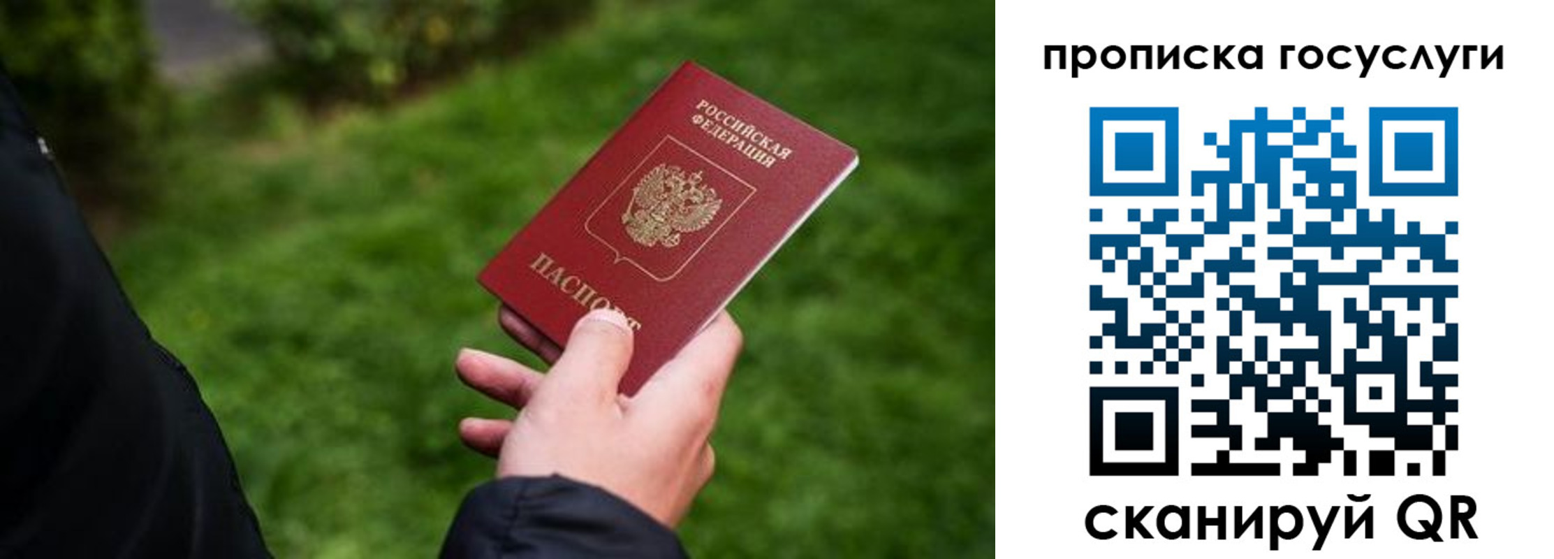 прописка для работы в Тосно